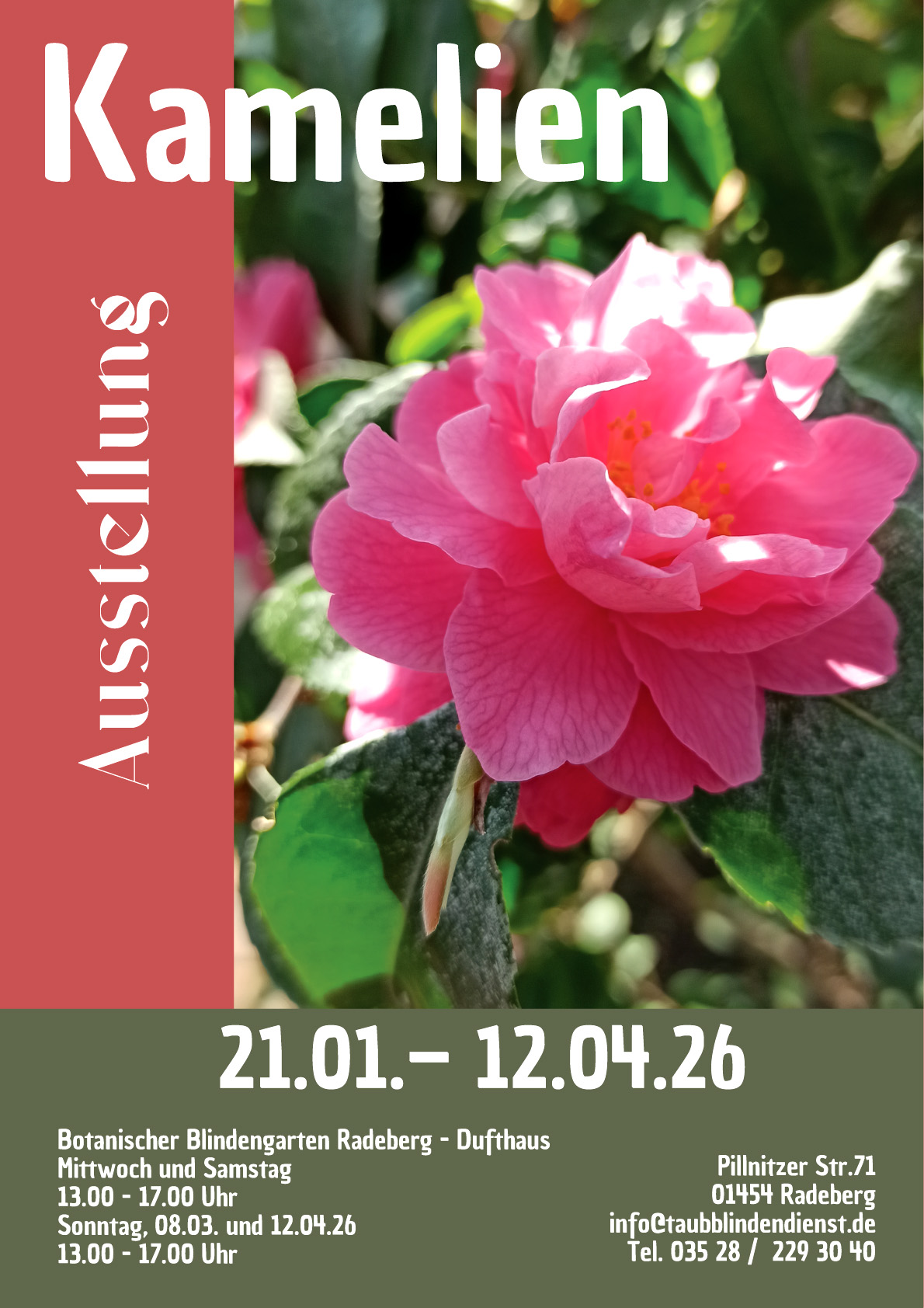 Kamelienausstellung 2026