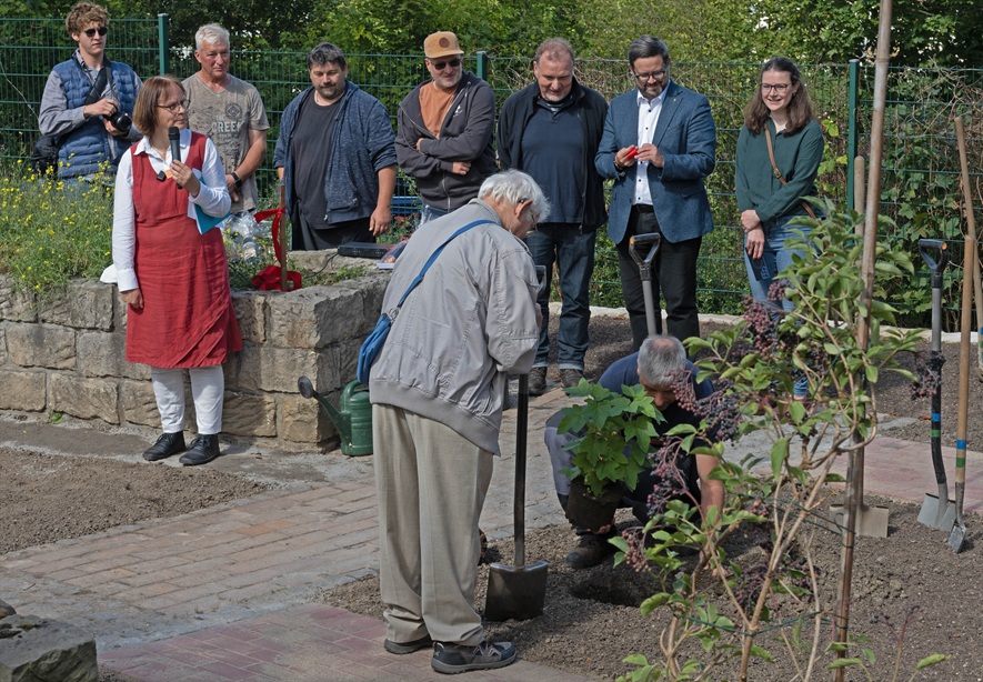 Naschgartenpflanzung