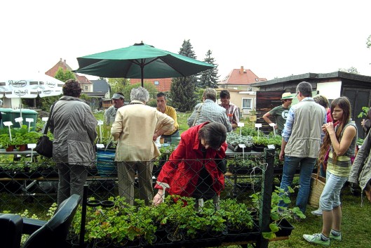 Einweihung Spatzenhof 27.04.2014: Pflanzenkauf