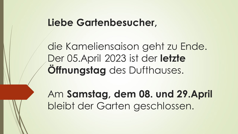 Kamelien schließen