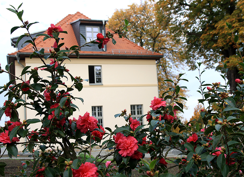 Villa Storchennest