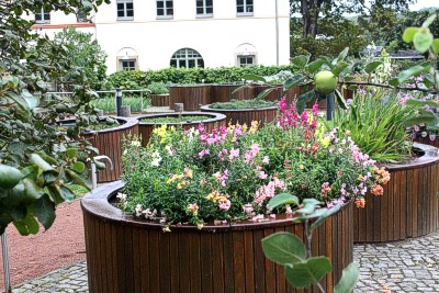 Blüten Gartenfest