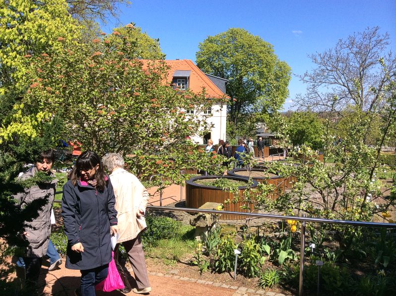 Spaziergang im Garten